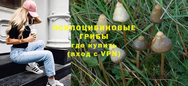 шишки Медногорск