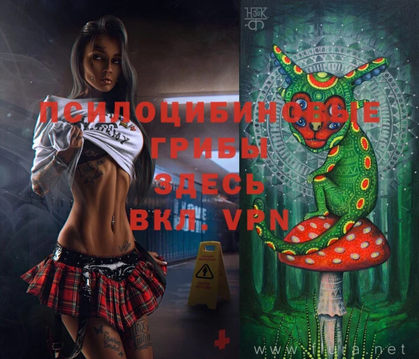 шишки Медногорск