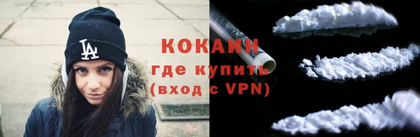 шишки Медногорск