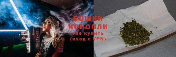 шишки Медногорск