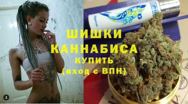 шишки Медногорск