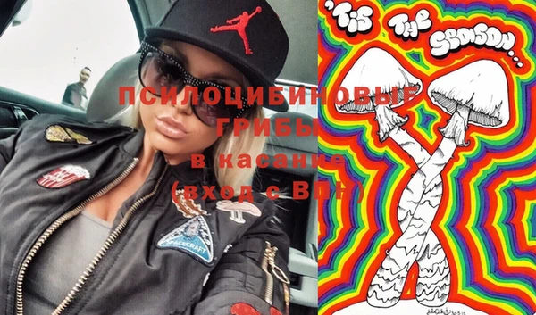 spice Мегион
