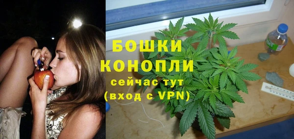 spice Мегион