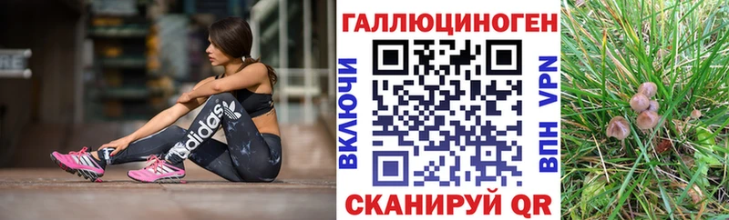 купить Новотитаровская Галлюциногенные грибы Magic Shrooms